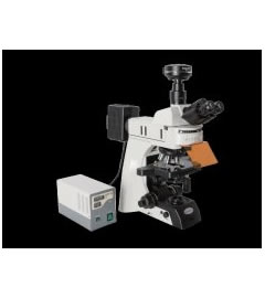 MF43研究級正置熒光(guāng)顯微鏡